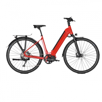 e-bike kopie